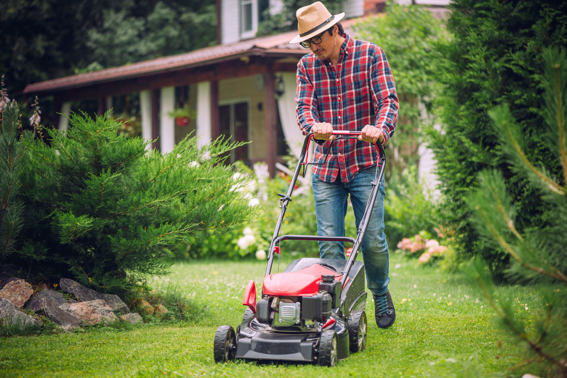 How to Create a Pollinator-friendly Lawn – Your Connection to Wildlife