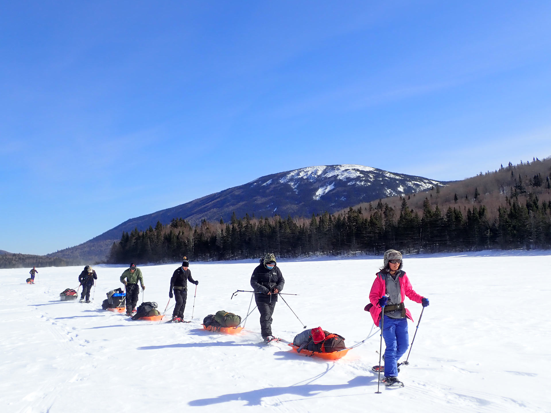 Crossing Nictau Lake with pulks. Photo by Andrew Stokes-Rees.