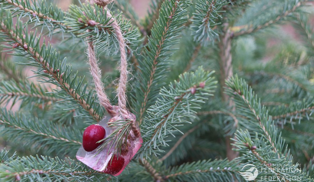 ice ornament