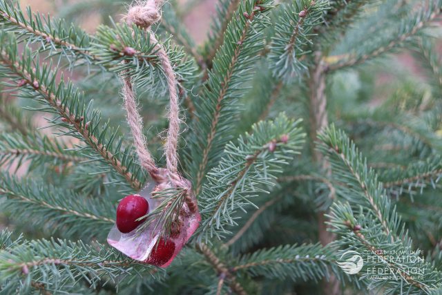 ice ornament