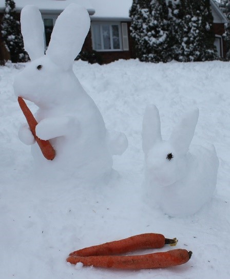 snow rabbit @sarah coulbere