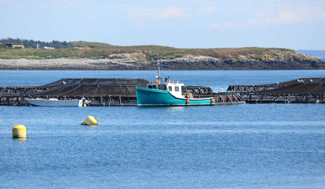 aquaculture pens