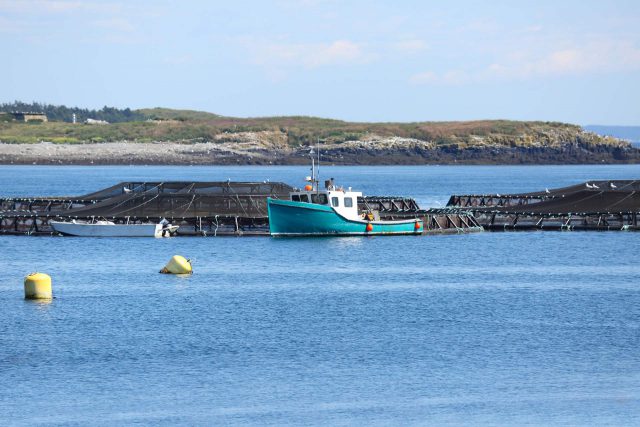 aquaculture pens