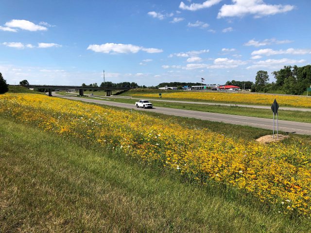 pollinator patrhway