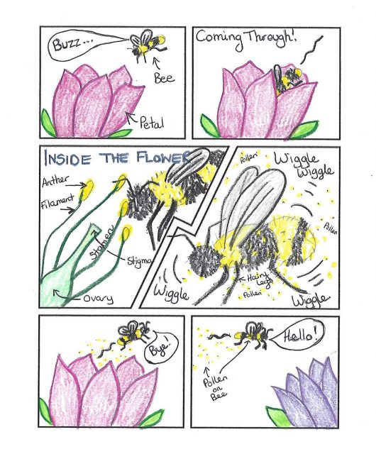 pollinator activity