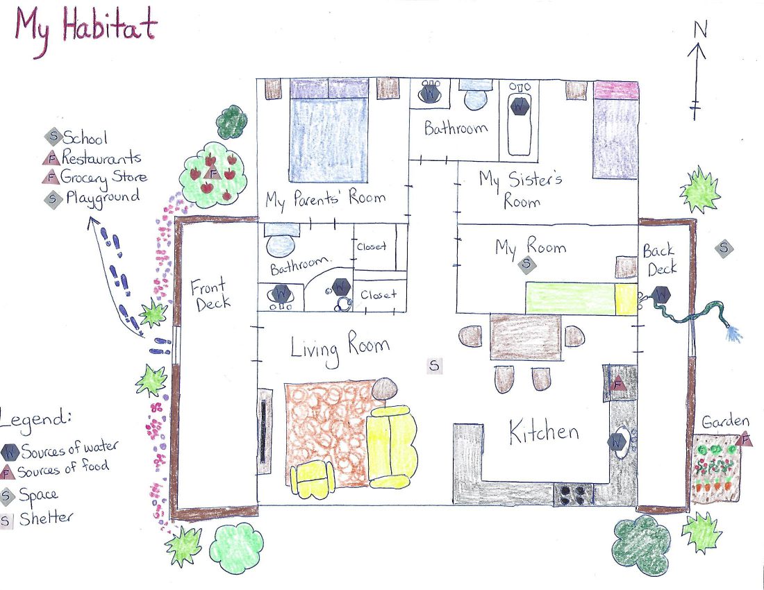 my habitat worksheet