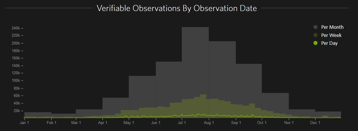 observations by date