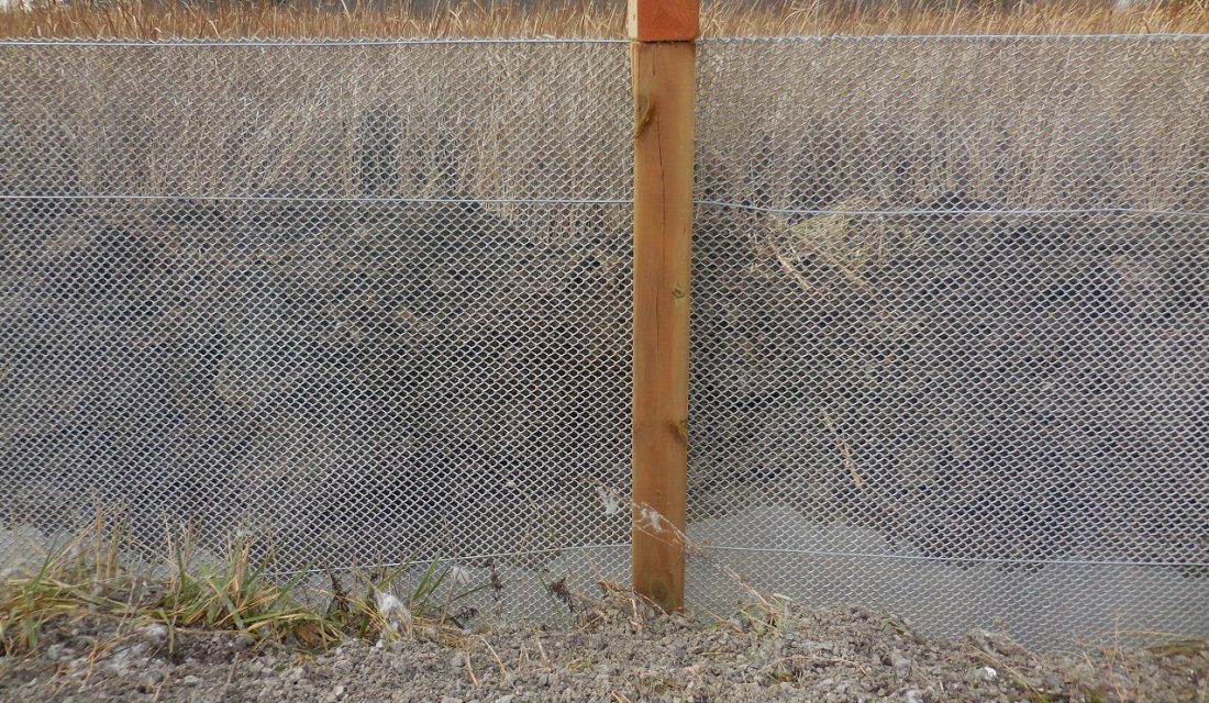 Close-up of turtle fencing installed along the major hotspot CWF documented south of Ottawa. 