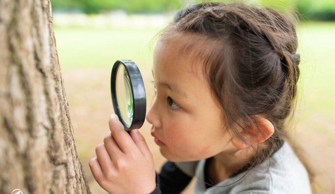 girl inspecting tree