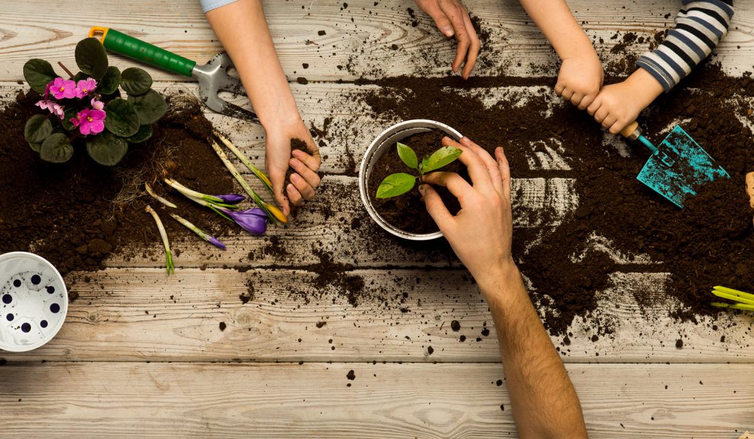 kids hands gardening