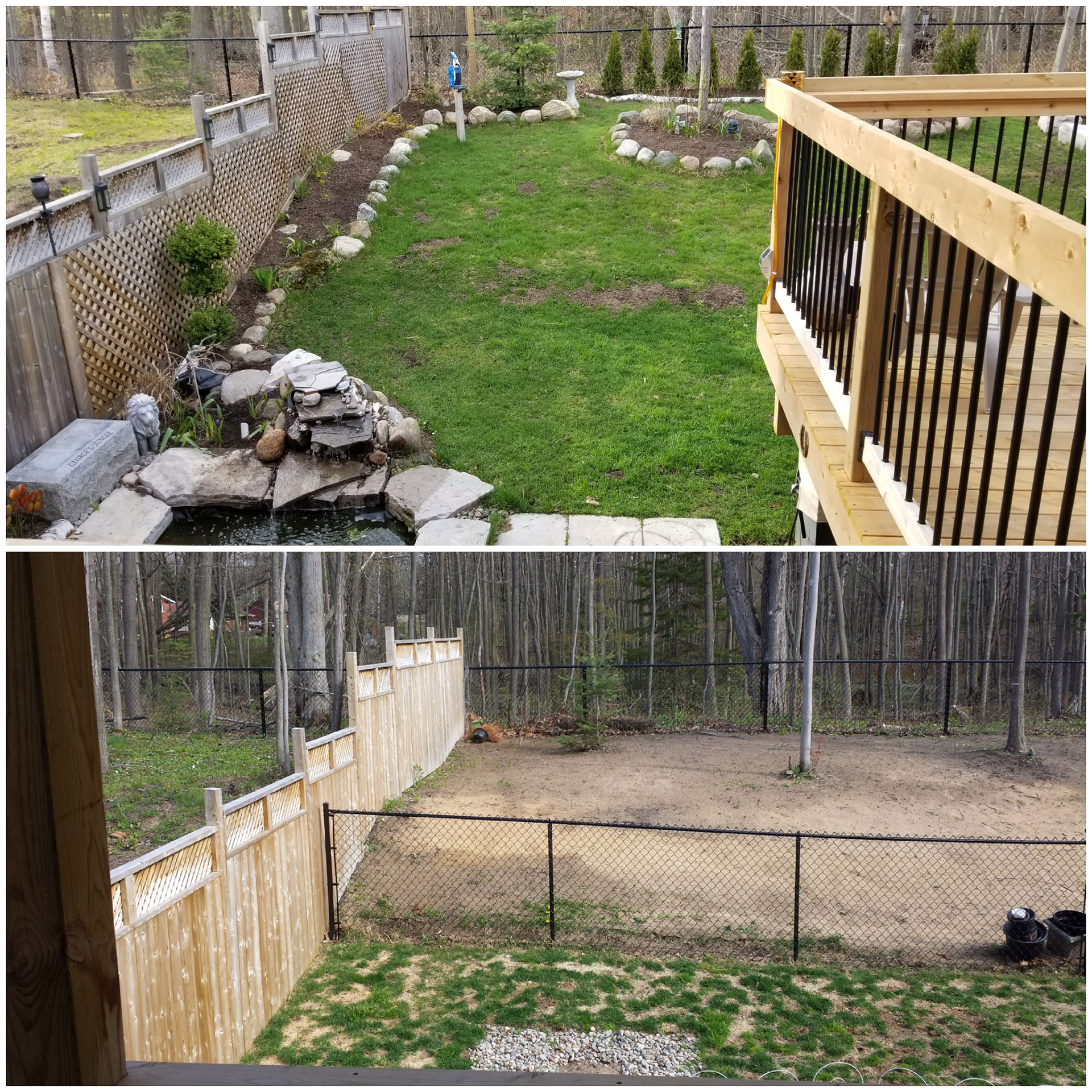yard transformation