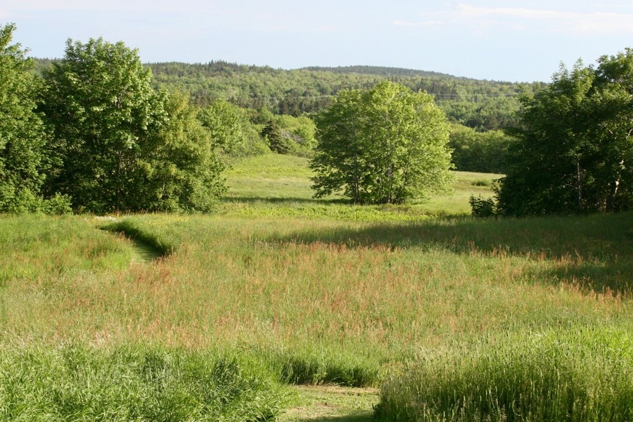 liz lore field nova scotia