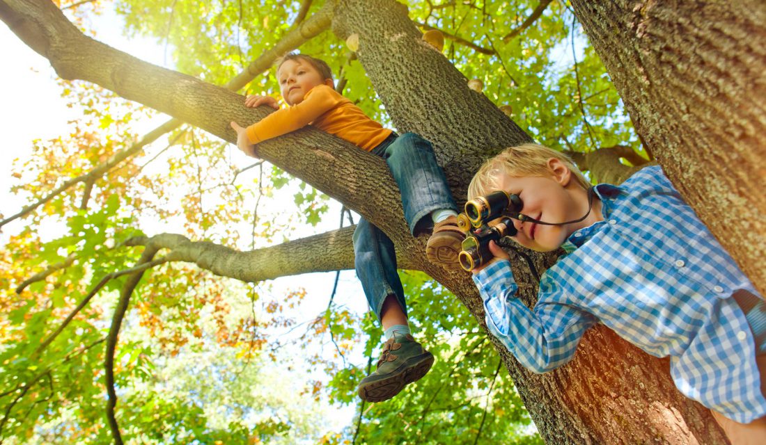 boys birdwatching binoculars