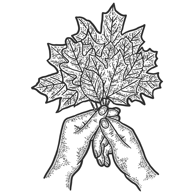 https://blog.cwf-fcf.org/wp-content/uploads/2020/08/hands-leaves-sketch-1264272022.jpg