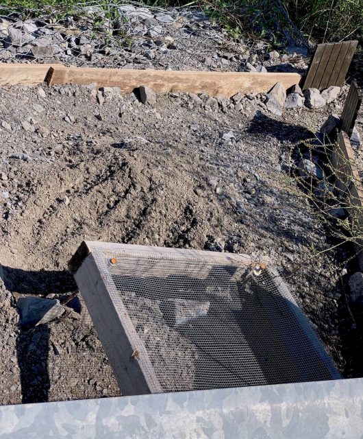 snapping turtle egg nest protector poachers