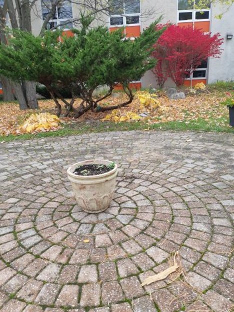 Courtyard Mosaic