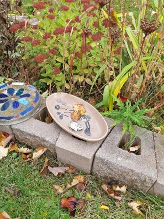 Insect birdbath