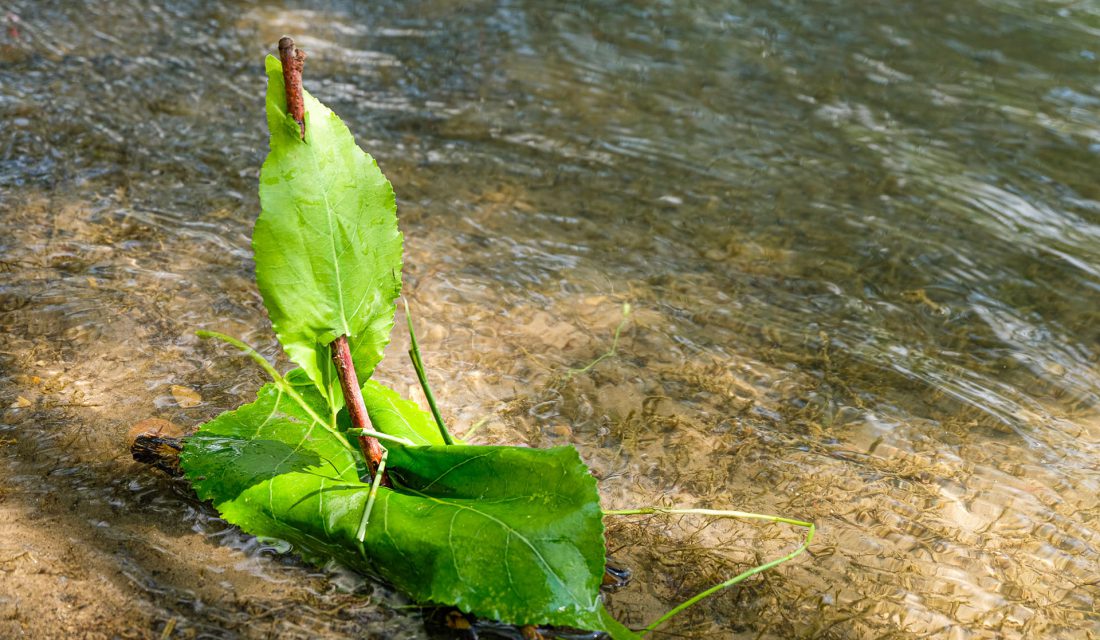 Où se trouve l'eau - ActivitésPratiques