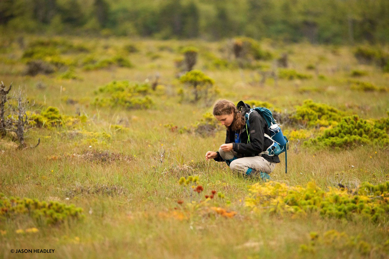 lena in the field