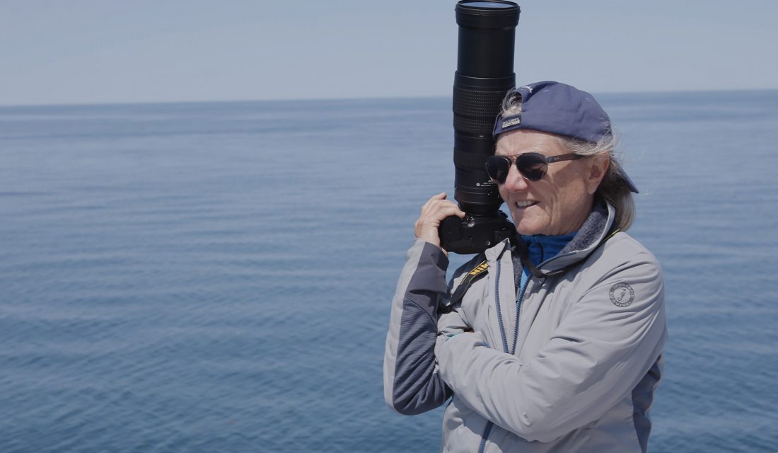 Dr. Moira Brown, Lead Scientist, Canadian Whale Institute