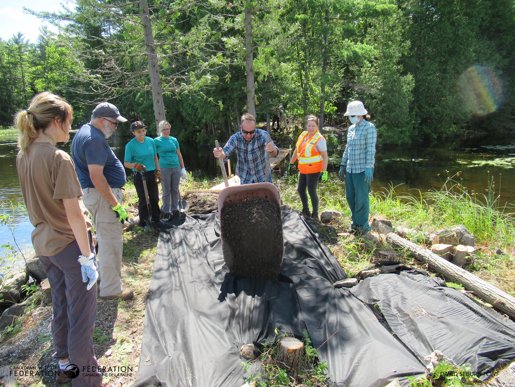 building turtle nest