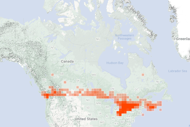 map of turtle observations