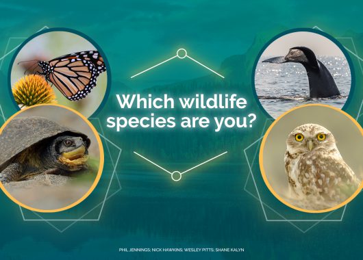 biodiversity and me