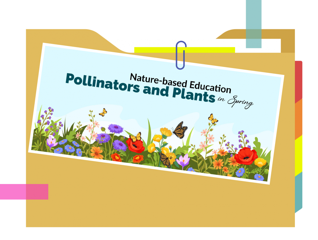 Pollinators Lesson Plan Nature-based Education in Spring: Pollinators and Plants – Your ...